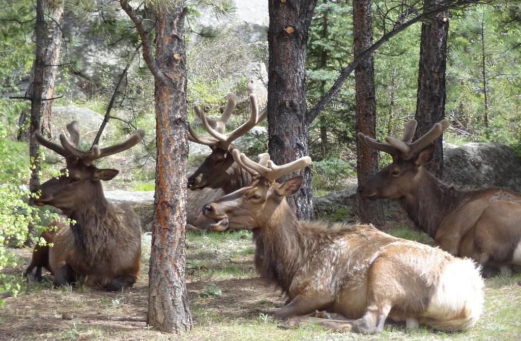 Stonebrook Resort - Adult Only - Image 7