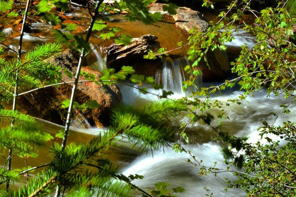 Stonebrook Resort - Adult Only - Image 4