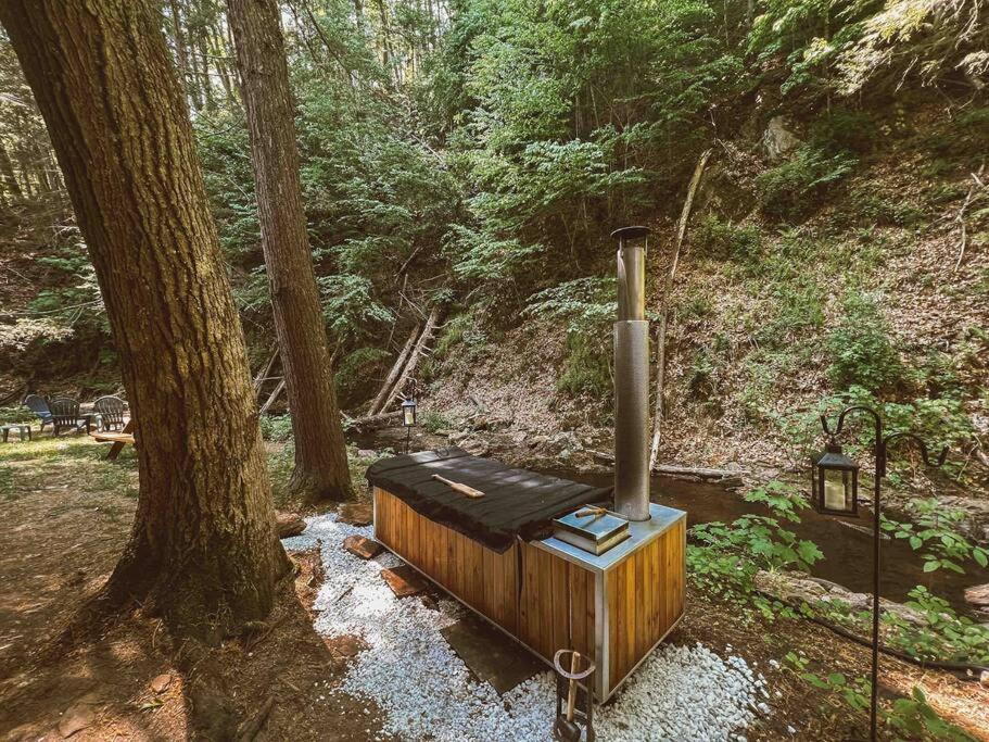 Hot Tub (Jacuzzi) - Photo 7