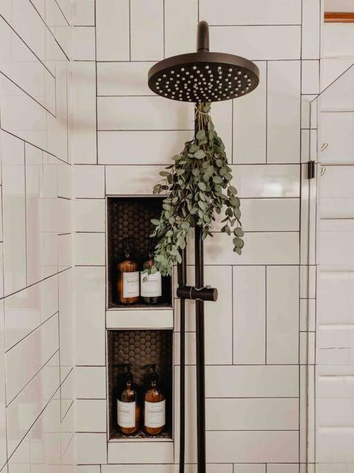 The Little Lake Cabin - Image 7