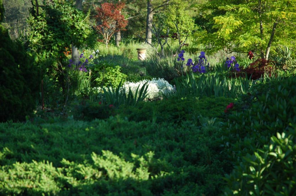 Family Vacation Home - Stunning Views across Salt Pond - Image 7