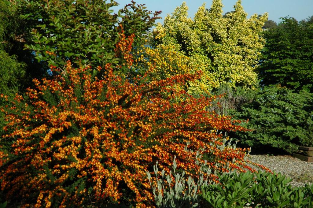 Family Vacation Home - Stunning Views across Salt Pond - Image 6