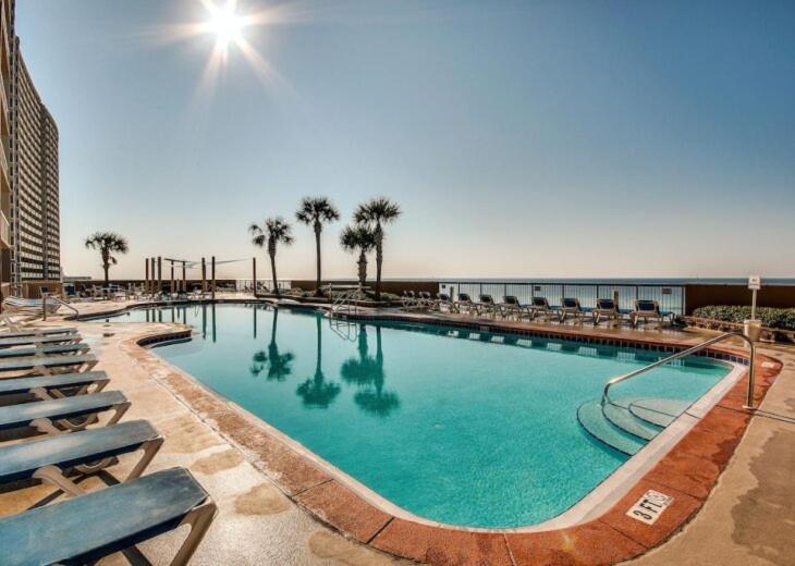 Blue Heron - Image 7