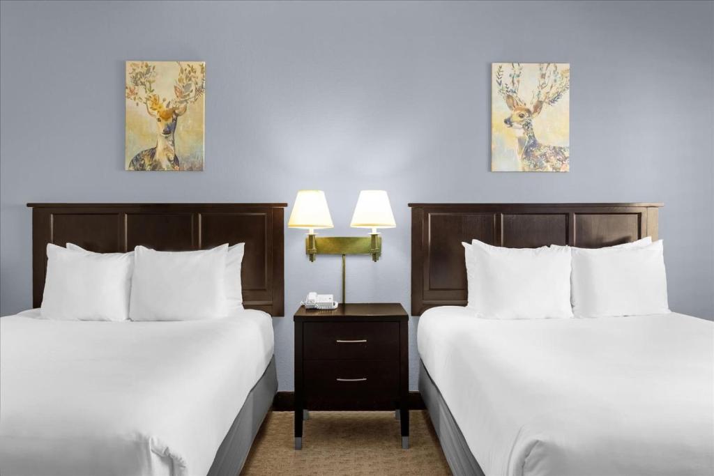 Stylish Queen Suite near Disney Sleeps at 4 - Image 6