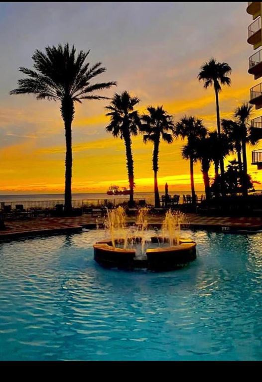 SHORES of PANAMA 315 - Image 7