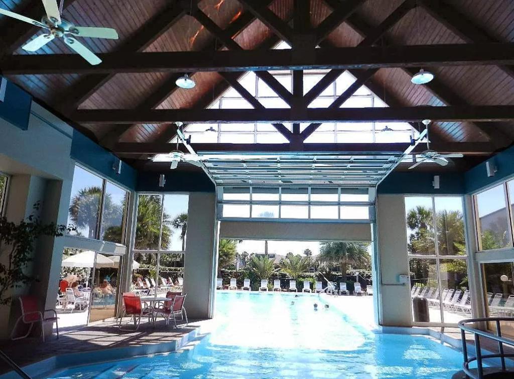 Island Life - Image 4