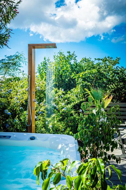 Hot Tub (Jacuzzi) - Photo 7