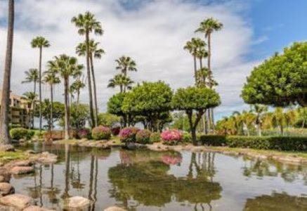 Kamaole Sands 4-410 - Image 7