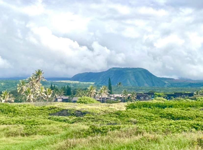 Beachfront 1 Bedroom Condo with Private Beach, Pool, Hot Tub - Image 8