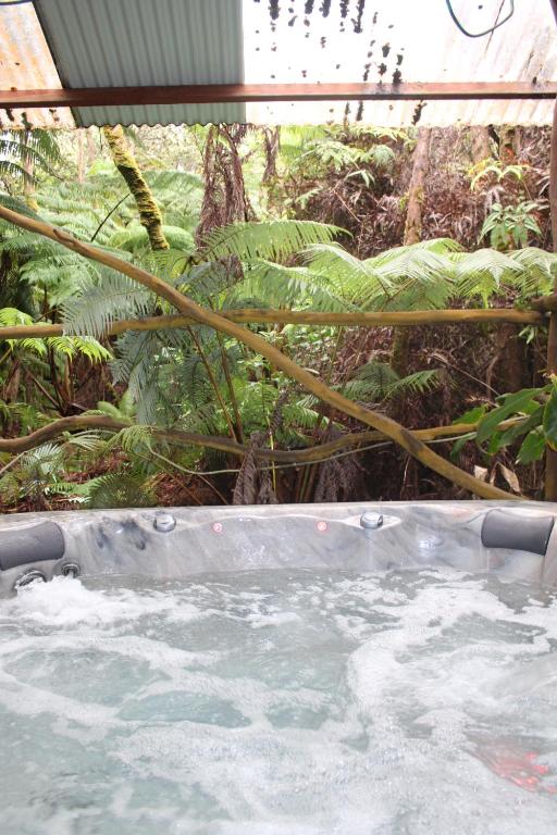 Hot Tub (Jacuzzi) - Photo 6
