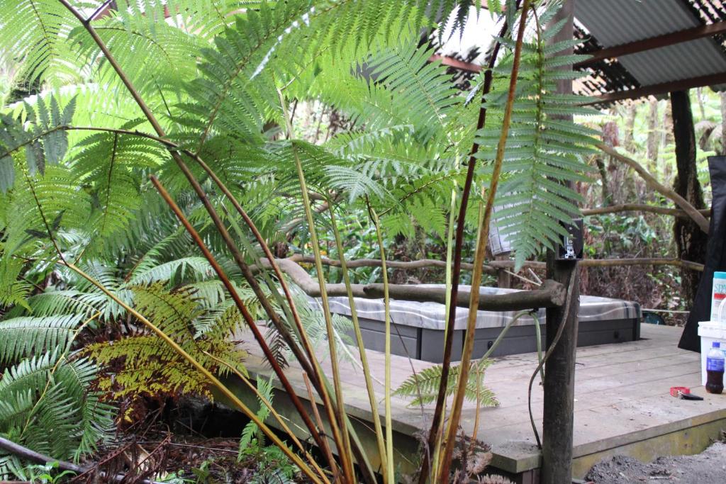 Hot Tub (Jacuzzi) - Photo 5