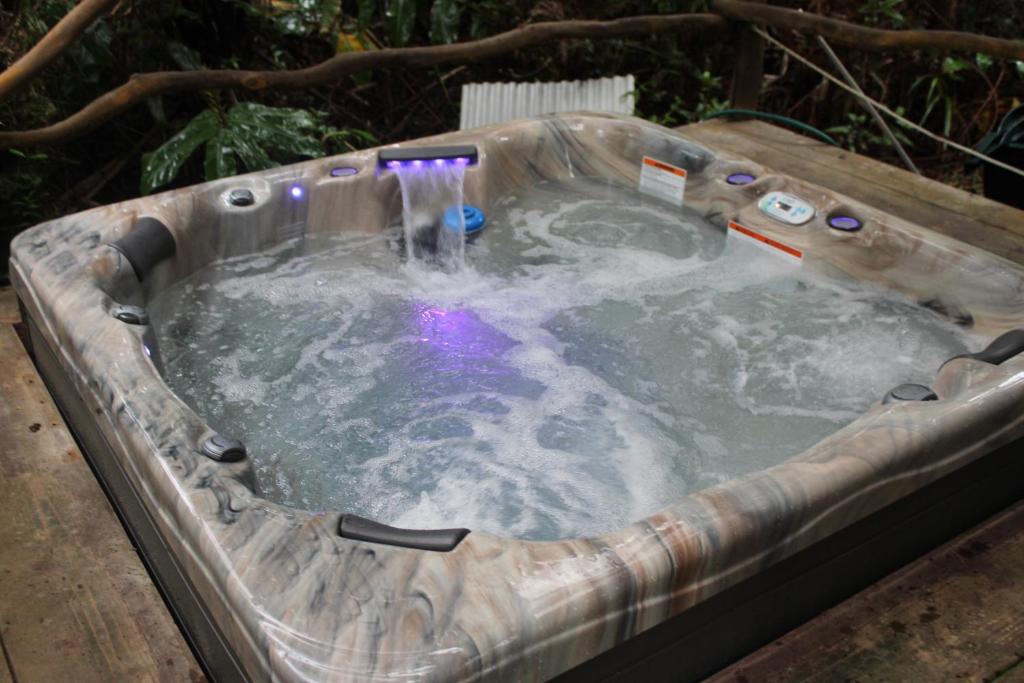Hot Tub (Jacuzzi) - Photo 4