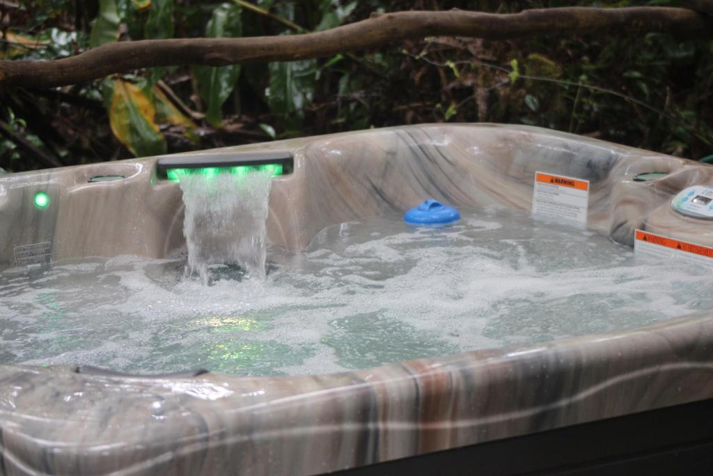 Halema'uma'u- Hale Kumu La'au