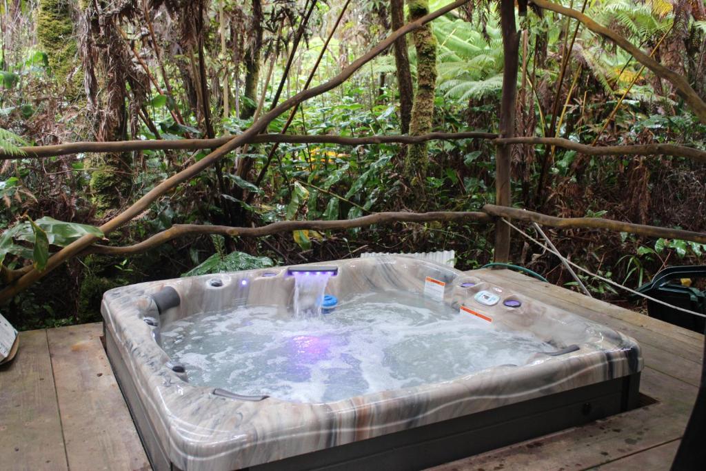 Hot Tub (Jacuzzi) - Photo 3