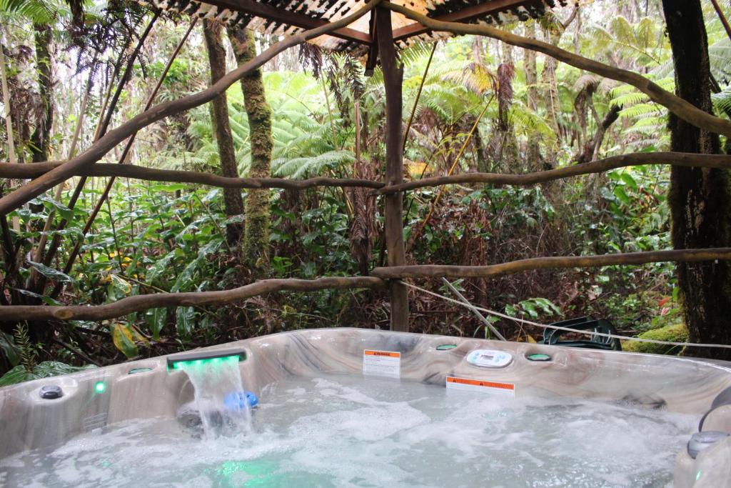 Hot Tub (Jacuzzi) - Photo 8