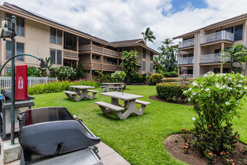 Ocean Echoes: Kona’s Oceanfront Family Oasis - Image 6