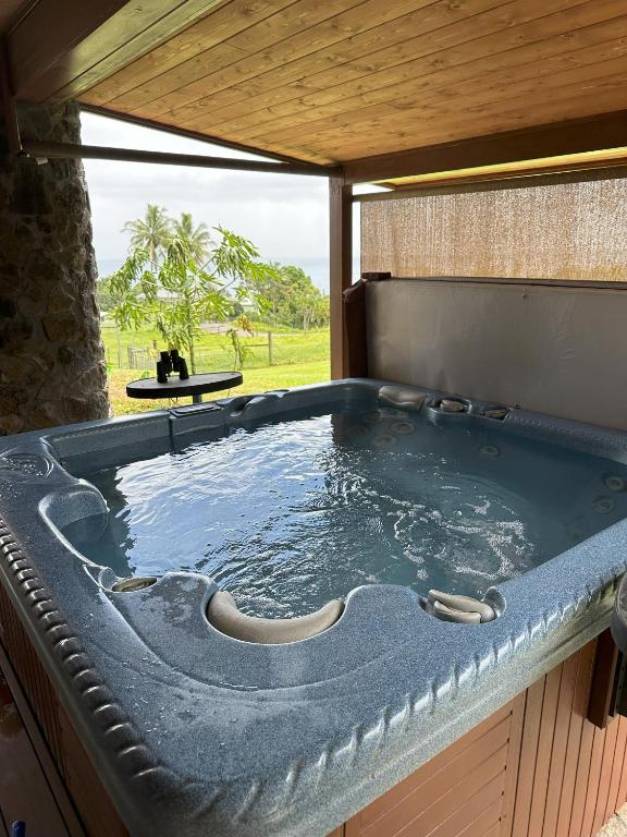 Hawaii Magic Skies Farmstay