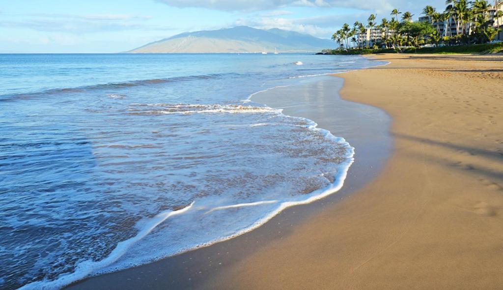 Prime Location! Walk to Beach, Shops & Dining! - Image 5