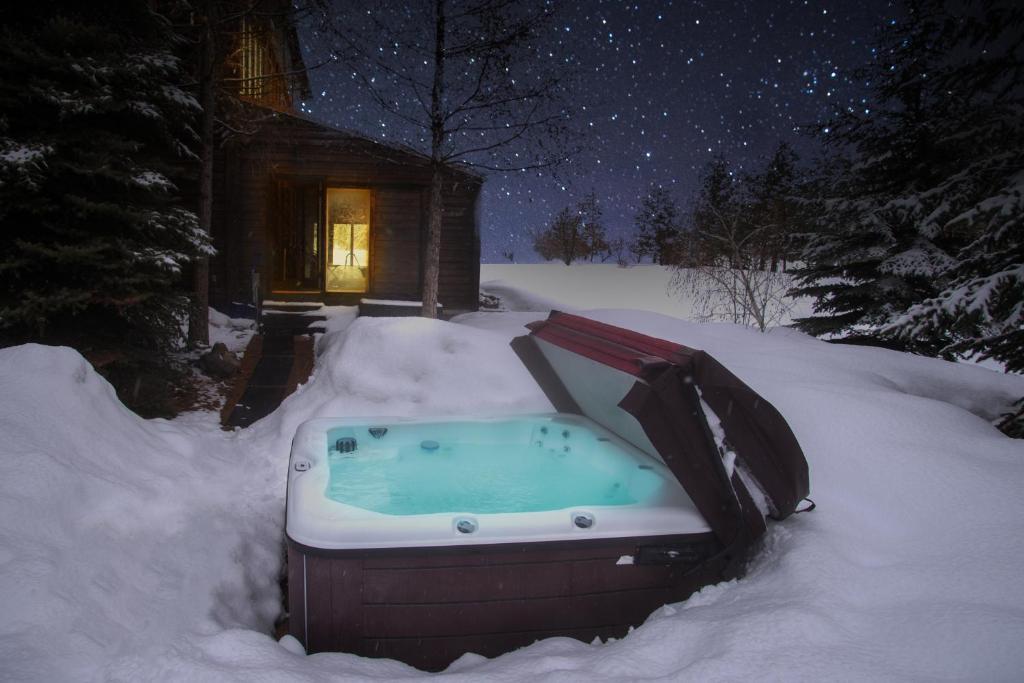 Bear Lodge with private Pool, Hottub, and Sauna!