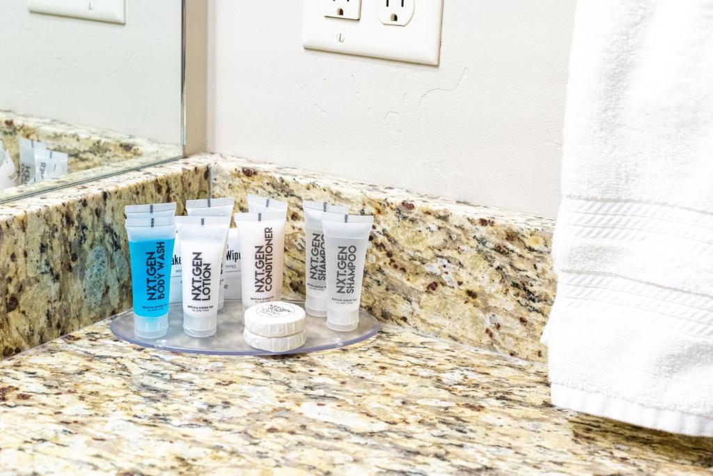 Sawtelle Mountain Resort - Image 7