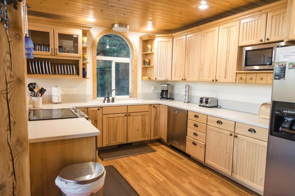 Kantada in the Trees - Image 4