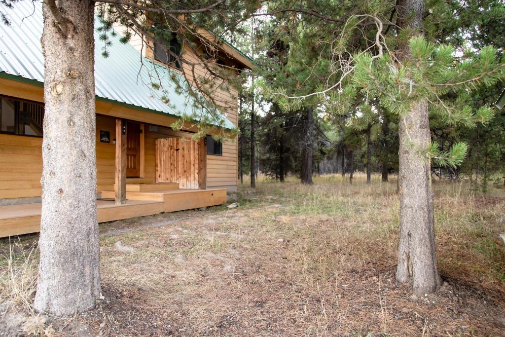 Kantada in the Trees - Image 6