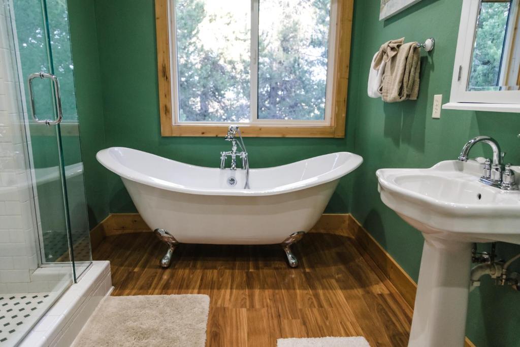 Kantada in the Trees - Image 8