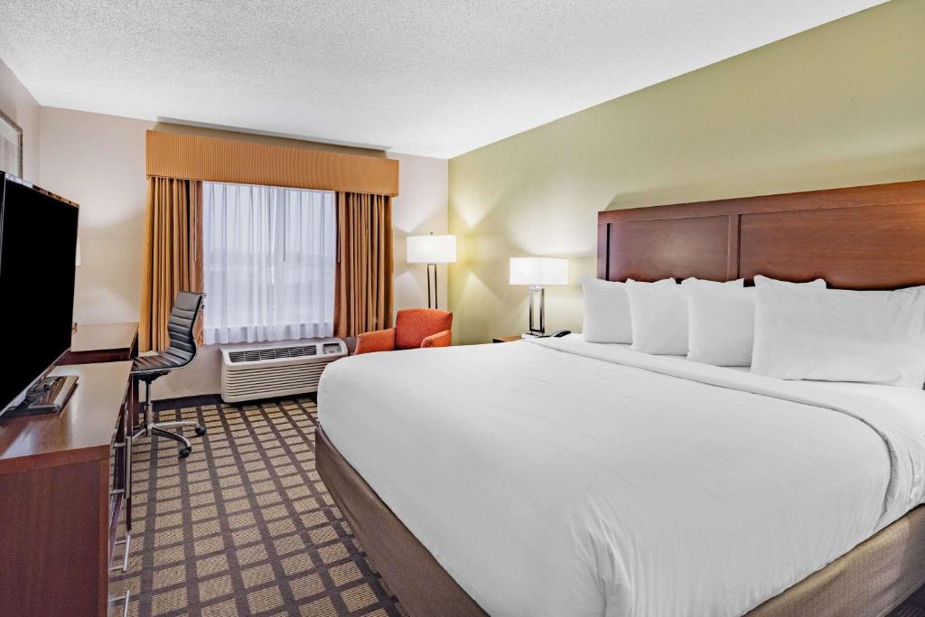 Hotel room interior