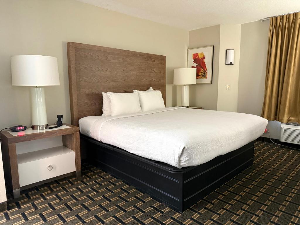 Edn Hotel - Image 4