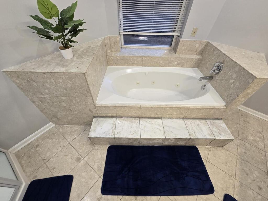 Bathtub - Photo 2