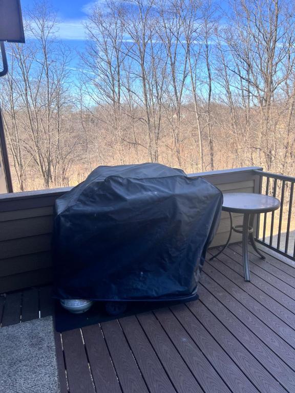 4-Bedroom Townhouse in Beautiful Galena