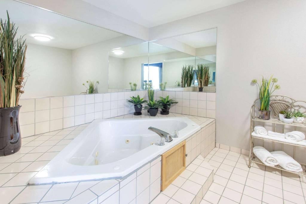 Wingate by Wyndham Indianapolis Airport Plainfield