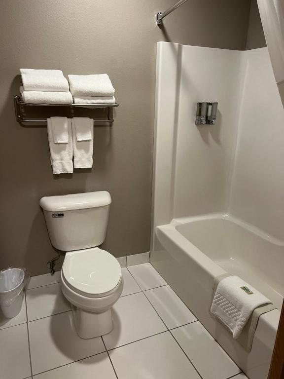 Okoboji Inn & Suites - Image 8