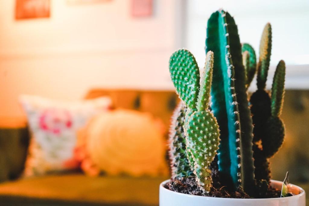 Rose Ranch - Charming Country Home