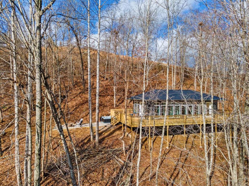 Primrose - Cave Run Lake OR Red River Gorge KY