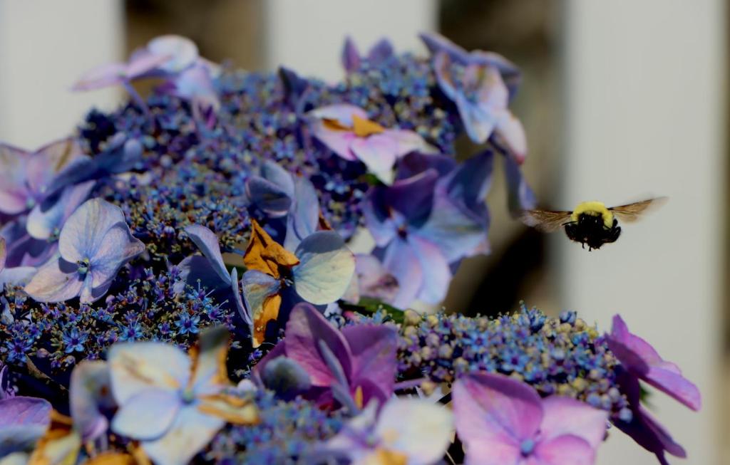 Sea View Motel - Image 7