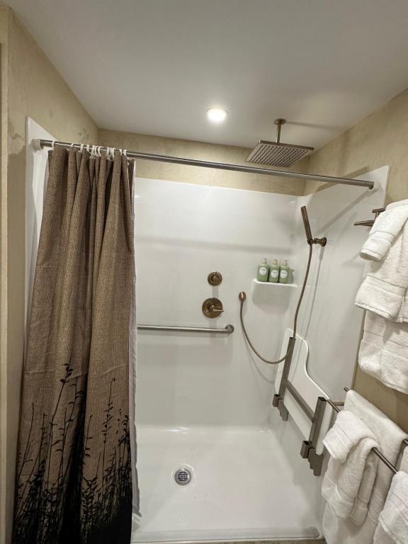 Deluxe vc home 3 bd/2bath, whealchair accessible - Image 8