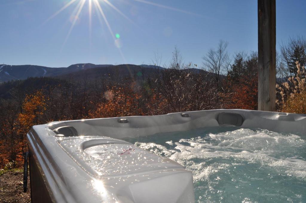Hot Tub (Jacuzzi) - Photo 2