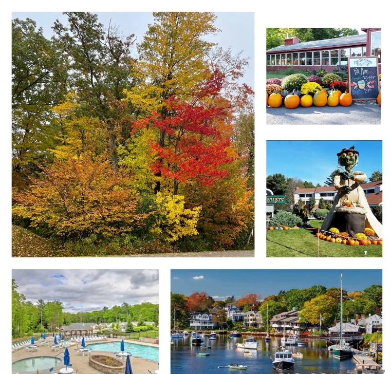 Fall Cottage that Sleeps 6 with 2 Bedrooms Sun Room Jaccuzi 1 Mile to Beach!