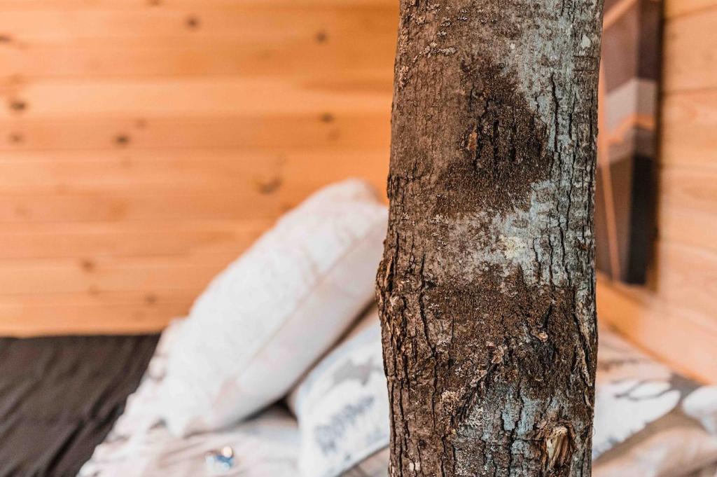 MoonLight Treehouse At Belgrade Hospitality - Image 6