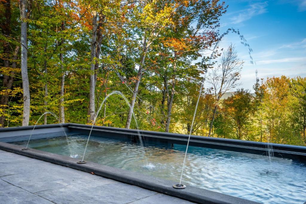 Hot Tub (Jacuzzi) - Photo 5