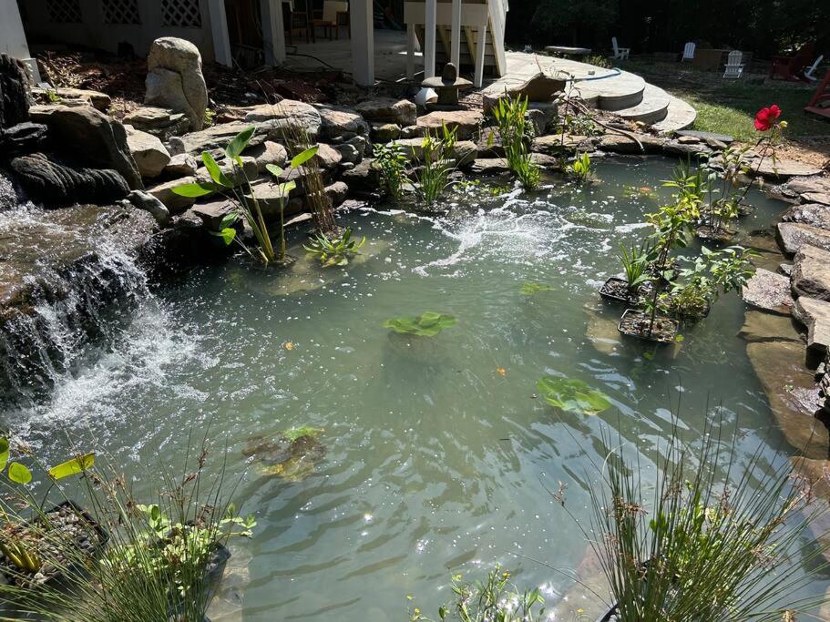 Hot Tub (Jacuzzi) - Photo 2