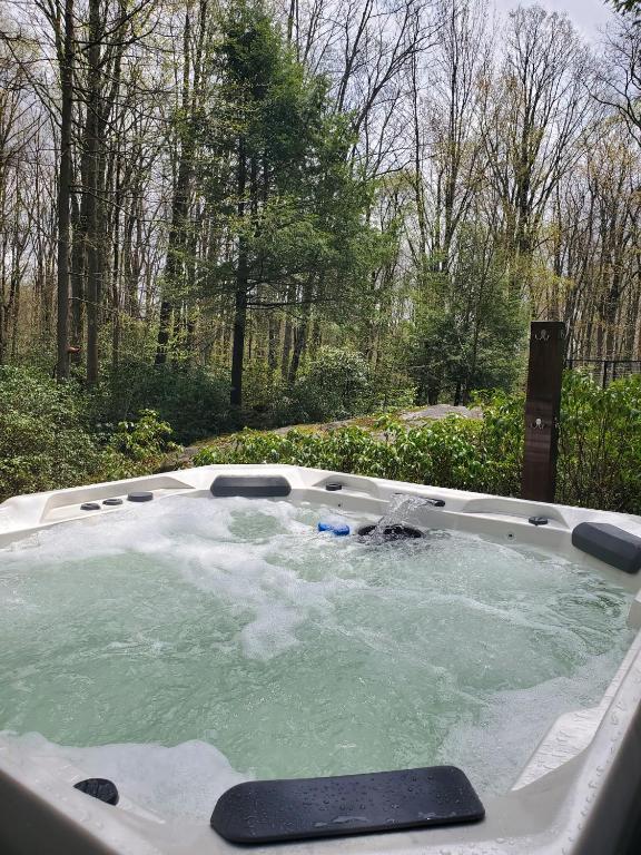 Hot Tub (Jacuzzi) - Photo 5