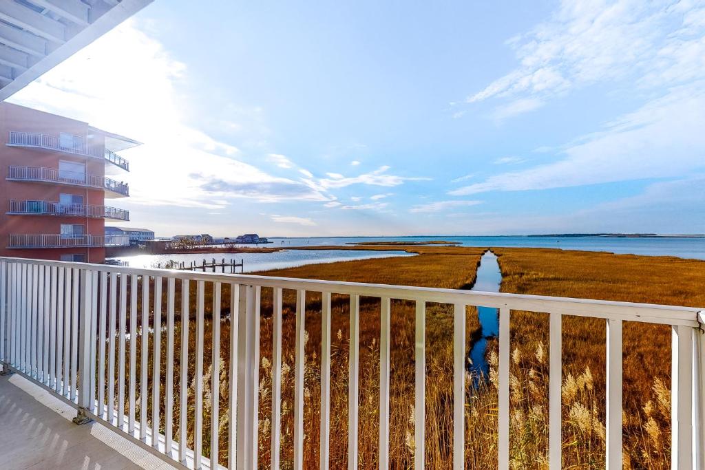 Maresol 204 - Image 7