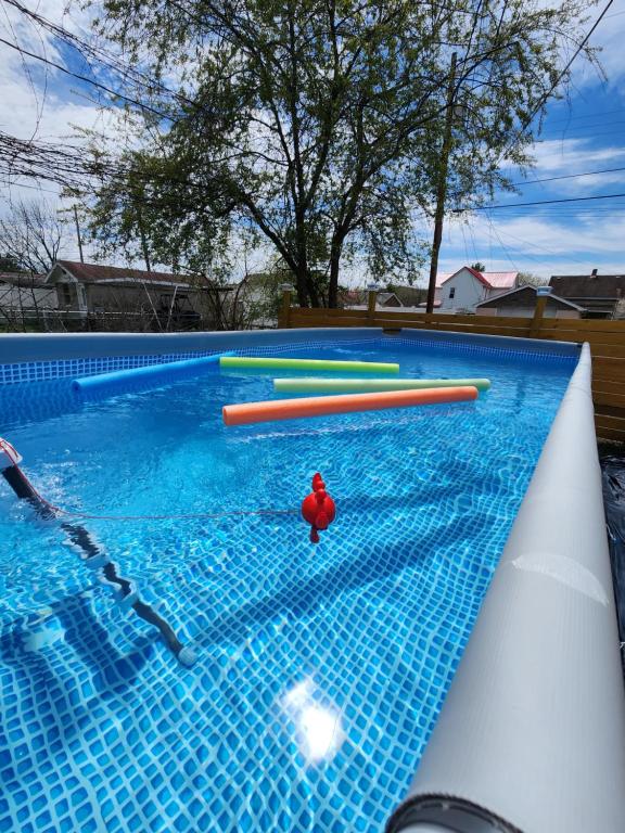 The Dacha. Cumberland vacation - Image 4