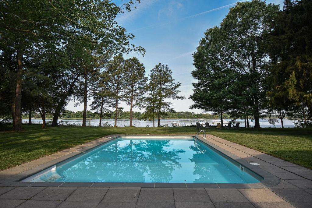 Baydream Believer - Image 4