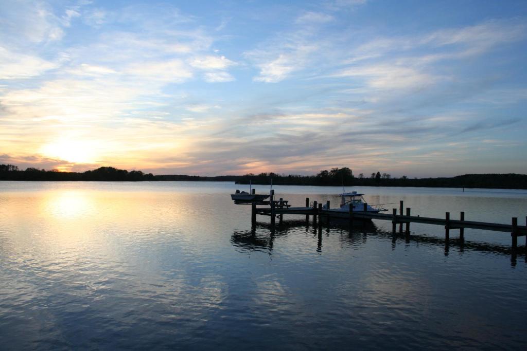 Baydream Believer - Image 8