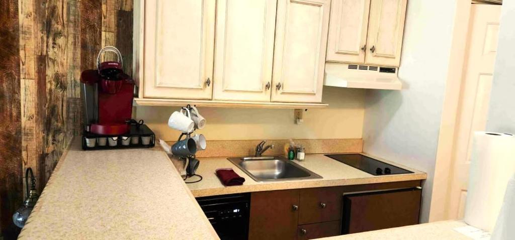 Must See Pirate Suite Ski On Off Jiminy - Mtn View Fully Redone Decor - Image 5