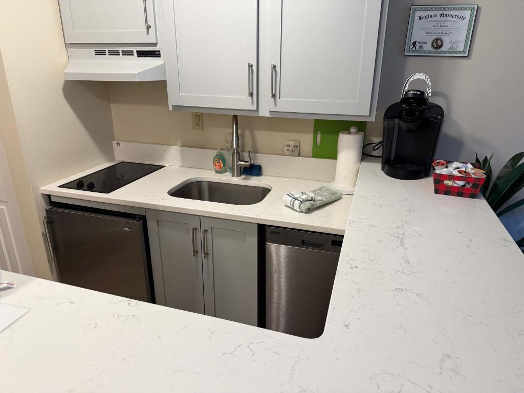 Unique Yeti-Theme Ski On Off Suite Jiminy-Sleeps 4 - Image 6