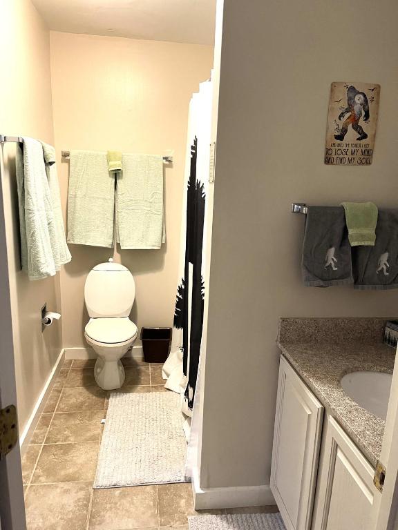 Unique Yeti-Theme Ski On Off Suite Jiminy-Sleeps 4 - Image 8